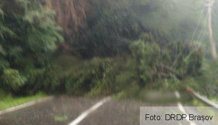 Blocaje pe DN 13A și DN 12, din cauza unor copaci căzuți în timpul furtunii 1 IMG-20190703-WA0000_269459.jpg