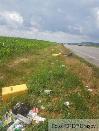 BRAȘOV. Sălbaticii trăiesc printre noi... DOVADA, pe DN 1 (FOTO) 1 IMG-20190708-WA0006_269737.jpg