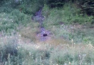 IMG-20190719-WA0010_270186.jpg