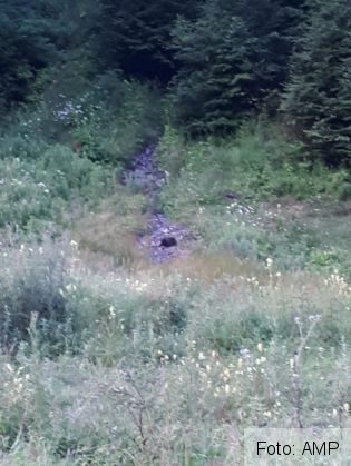 IMG-20190719-WA0010_270186.jpg
