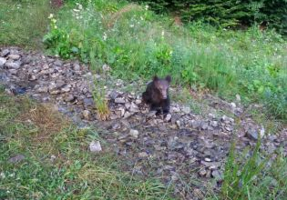 IMG-20190719-WA0016_270190.jpg