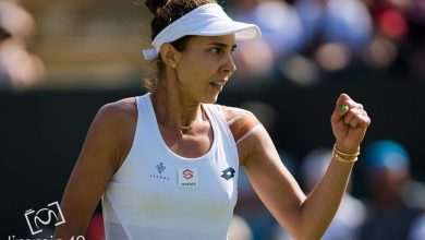 buzarnescu1_2.jpg