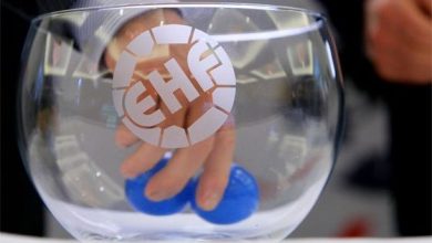 ehf_2.jpg
