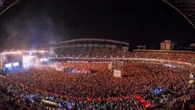 festival_11.jpg