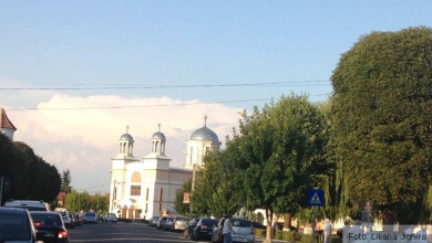 img-0857_5.jpg