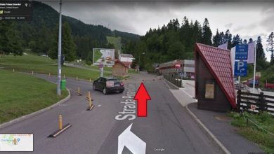 poiana2_3.jpg