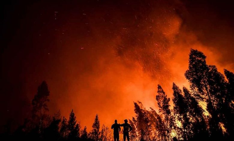 Incendii masive în Portugalia 1 portugalia_7.jpg