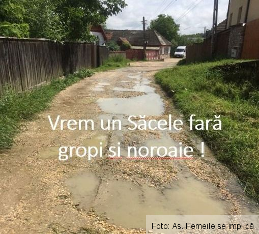 sacele_10.jpg