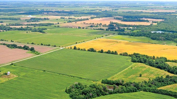 APIA continuă controalele pe teren pentru cererile unice depuse în Campania 2019 1 terenuri.jpg