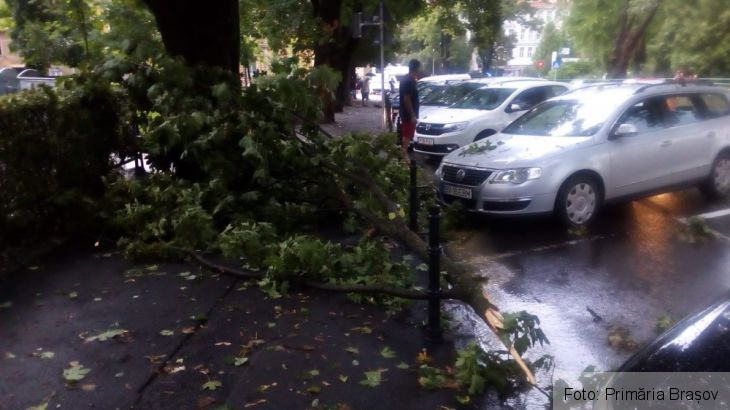BRAȘOV. Furtuna de joi seara a făcut ravagii în oraș. Ce spune Primăria?!... 1 IMG-20190809-WA0012_270965.jpg