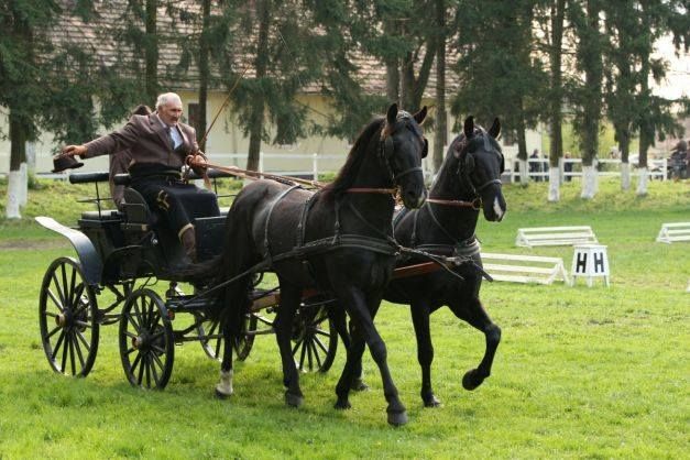 cai-herghelie-sambata.jpg