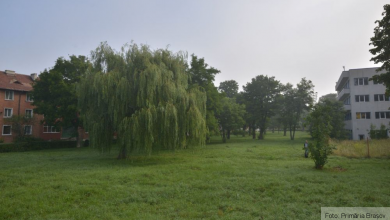 parc_9.jpg
