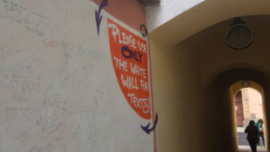 sforii1_271225.jpg