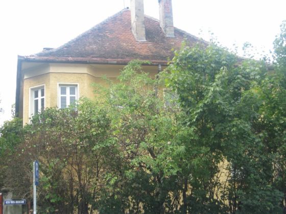 Casa-Galbena_272062.JPG