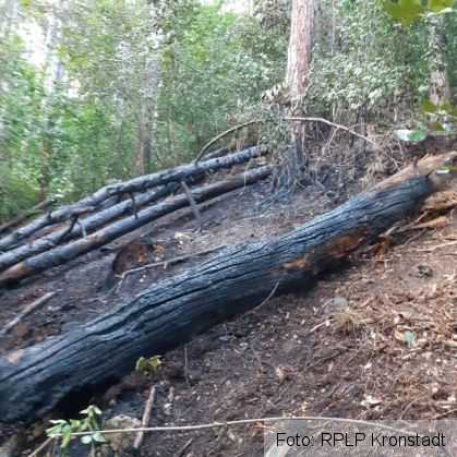 Update. BRAŞOV. Incendiul din Şchei ar fi izbucnit de la o ţigară! (FOTO) 1 IMG-20190905-WA0005_272009.jpg