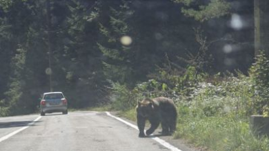 IMG-20190922-WA0012_272768.jpg