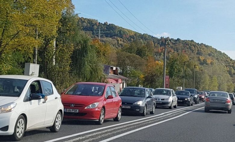 coada_4.jpg