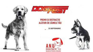 dogfest.jpg