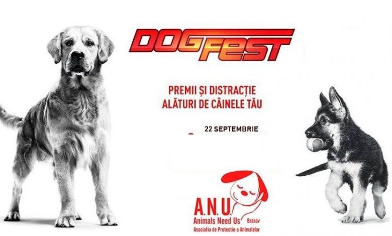 BRAȘOV. DogFest 2019 și pentru pisicuțe 1 dogfest.jpg