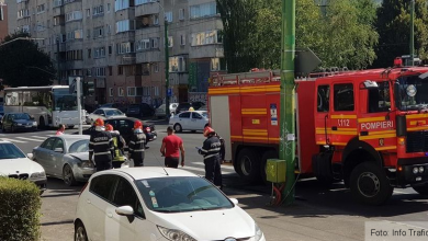 zizinului_2.jpg