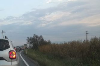20191003_083145_273390.jpg