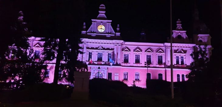 Primăria BRAȘOV luminată în roz, ca semnal de alarmă. GALERIE FOTO 1 71043999_387255048616317_662442037609496576_n_273331.jpg