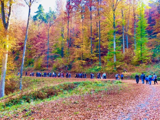 BRAȘOV. La pas pe zona Crucur pentru a le arăta oamenilor ce înseamnă un drum forestier 1 Crucur_274482.jpeg