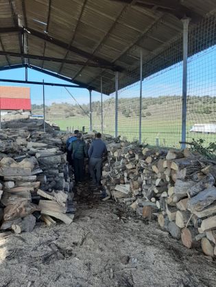 BRAŞOV. Depozit de lemne, amendat astăzi! 1 IMG-20191010-WA0040_273847.jpg