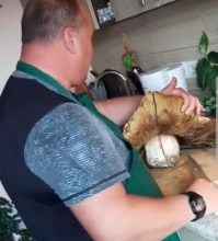 Screenshot_20191008-185320_Facebook_273736.jpg