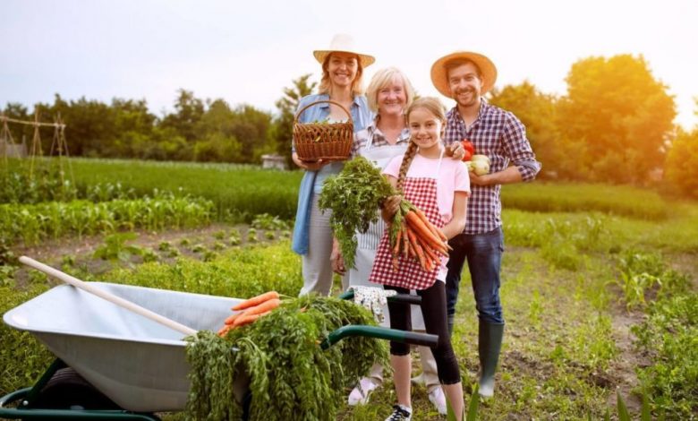 BRAŞOV. Bani pentru fermieri. Guvernul a alocat fonduri de 1,4 miliarde euro pentru agricultori 1 agricultura_4.jpg
