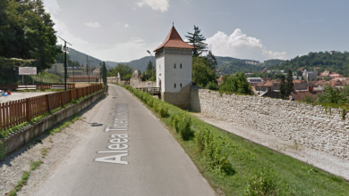aleea-tiberiu-brediceanu_2.png