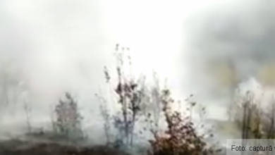 incendiu padure_274500.png