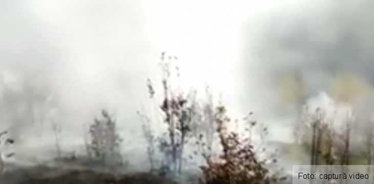 incendiu padure_274500.png