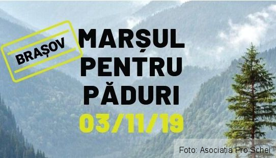 marsul-pdurii.jpg