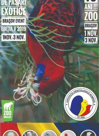 BRAȘOV. Expoziție națională de păsări exotice 1 ornitologi.jpg