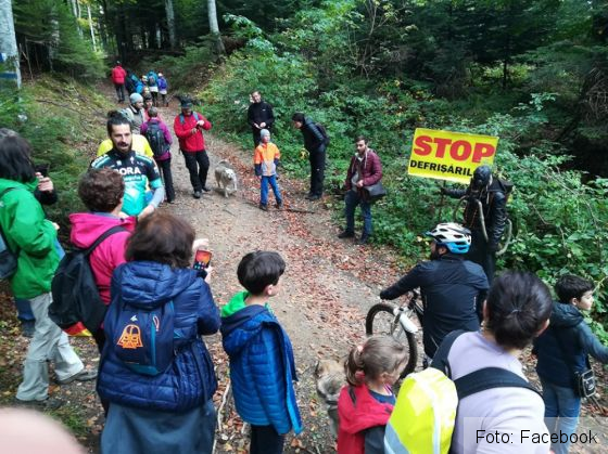 BRAŞOV. Petiţie împotriva drumului forestier Gorița! Câţi oameni au semnat?! 1 padure 3_273662.jpg