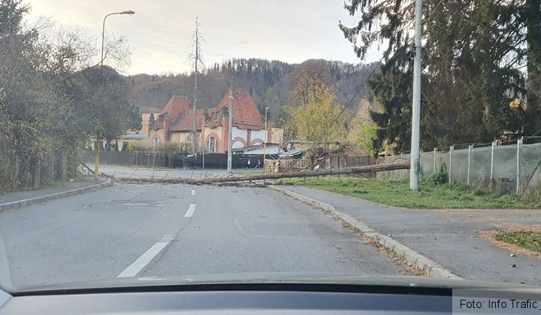 BRAȘOV. Pericol din cauza vântului! Este Cod Galben (Update FOTO) 1 arbore_2.jpg