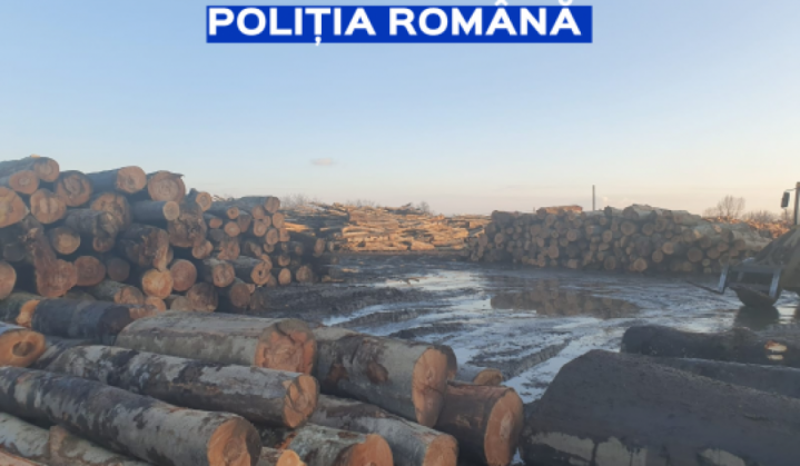 big_solvic_2_275531.png
