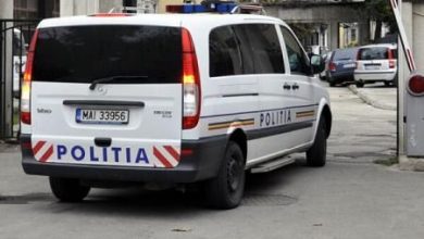 duba2.jpg
