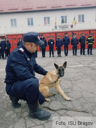 NOUTATE. ISU BRAŞOV are o „angajată” în vârstă de doar 4 luni (Galerie FOTO) 1 kara 2_275301.jpg