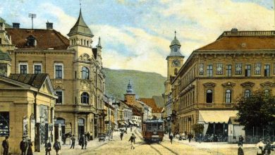 tramvaicarabus.jpg
