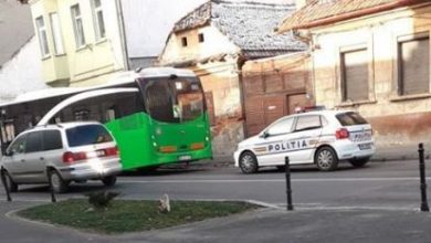 autobuzlunga.jpg