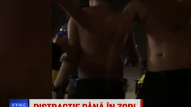 poiana_2.png