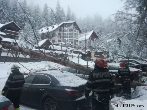 Județul BRAȘOV. Copaci căzuți peste patru autoturisme! (Update GALERIE FOTO) 1 IMG-20200101-WA0003_276639.jpg