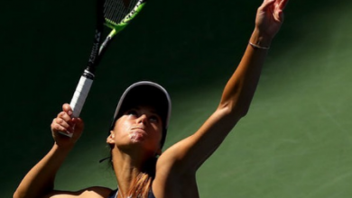 cirstea.png