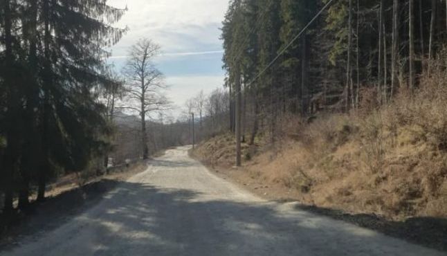 DN 1 - ULTIMA SOLUȚIE pentru descongestionarea traficului! Plusuri și minusuri... 1 drum_8.jpg