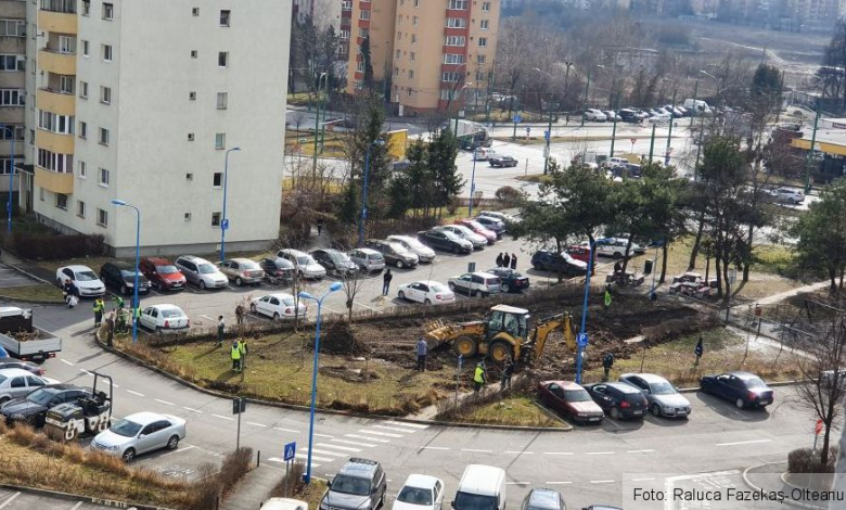 BRAŞOV. Primarul Scripcaru: Zeci de mii de puieţi vor fi plantaţi în oraş şi pe lângă Ocolitoare 1 20200218-132619.jpg