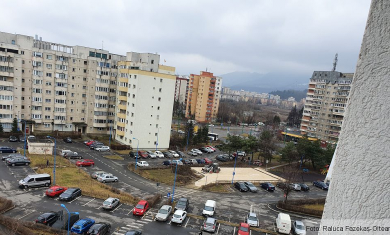 BRAŞOV. Aşa începe plantarea „zecilor de mii de puieţi” promişi de primar?! (FOTO) 1 20200222-104718.jpg