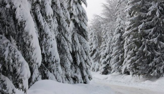 BRAȘOV. Probleme de fond funciar în Țara Făgărașului 1 iarna_6.jpg