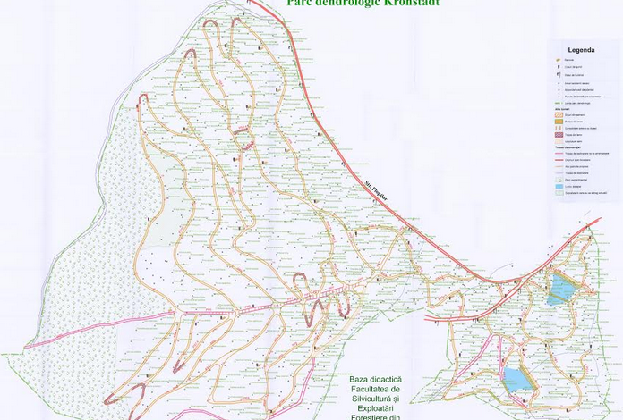 Brașovenii, invitați să participe la plantările din Parcul Dendrologic Kronstadt 1 parc.png